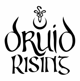 Druid Rising